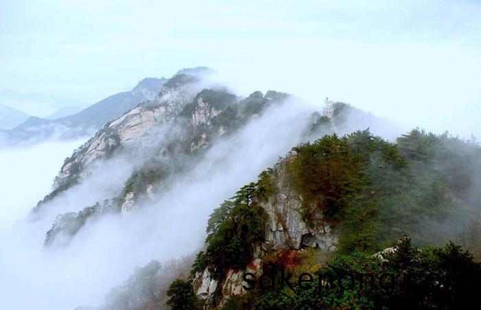 華(hua)東(dong)區(qū)最后一片原(yuan)始(shi)森(sen)林(lin)