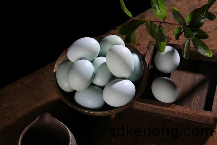 五(wu)黑(hei)鷄(ji)_綠(lv)殼(ke)蛋(dan)