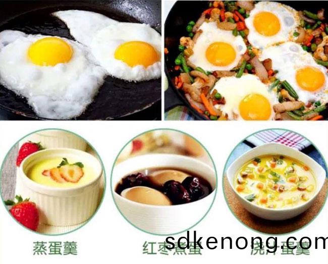 金寨五(wu)黑(hei)鷄(ji)綠(lv)殼(ke)蛋(dan)