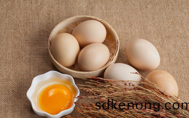 辨(bian)彆土鷄(ji)蛋(dan)