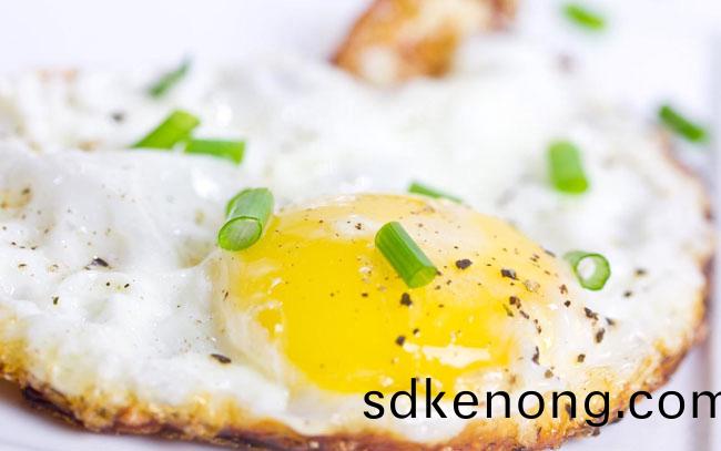 綠(lv)殼(ke)蛋