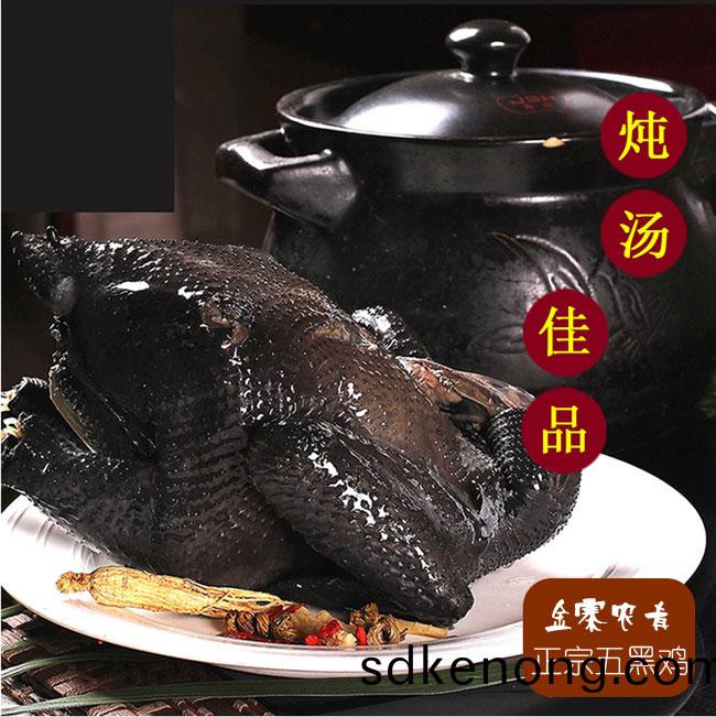 五(wu)黑鷄