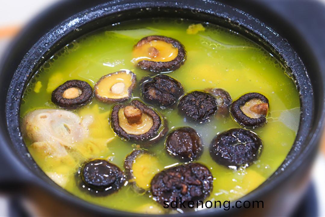 金寨老(lao)鷄(ji)湯