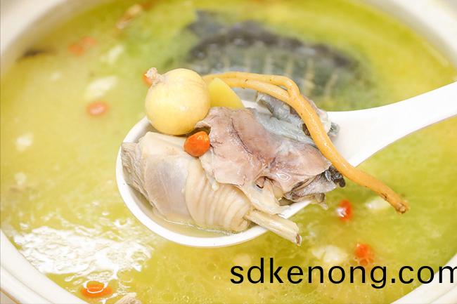 金寨(zhai)老(lao)鷄湯