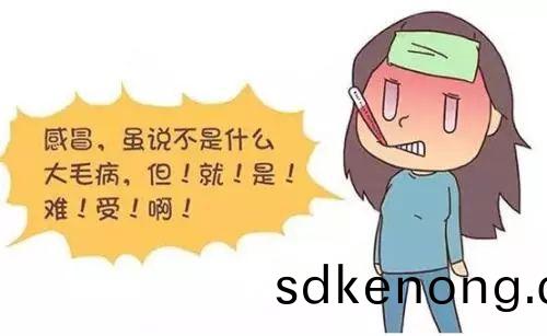 金寨散(san)養(yǎng)土鷄(ji)