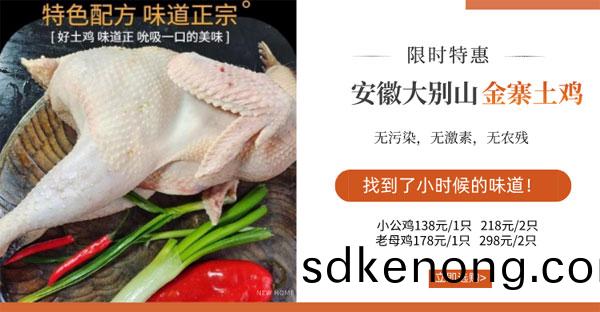 金(jin)寨黑(hei)腳土鷄